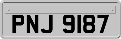 PNJ9187