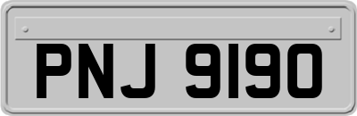 PNJ9190