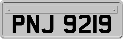 PNJ9219