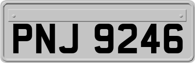 PNJ9246