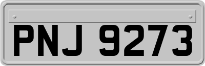 PNJ9273