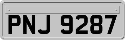 PNJ9287