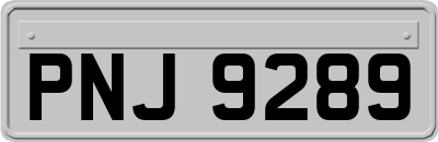 PNJ9289