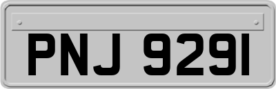 PNJ9291