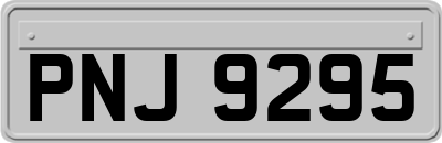PNJ9295
