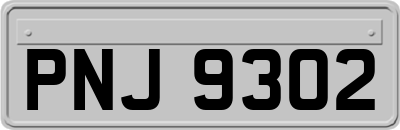 PNJ9302
