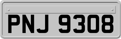 PNJ9308