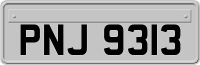 PNJ9313