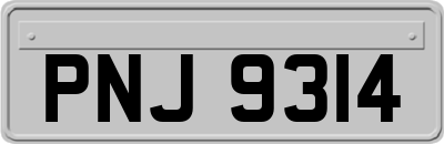 PNJ9314