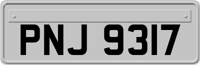 PNJ9317