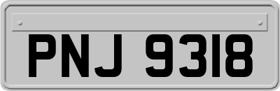 PNJ9318