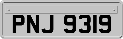PNJ9319