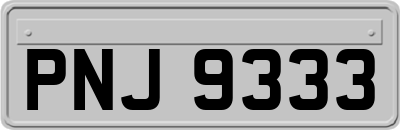 PNJ9333