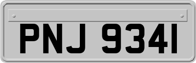 PNJ9341