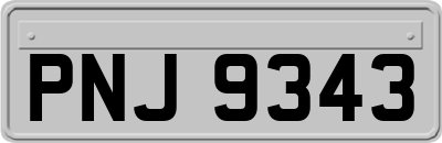 PNJ9343
