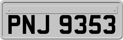 PNJ9353