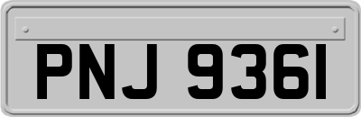 PNJ9361