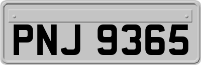 PNJ9365