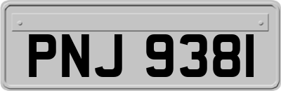 PNJ9381