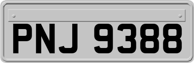 PNJ9388
