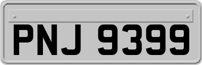 PNJ9399