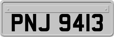 PNJ9413