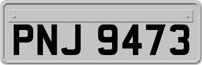 PNJ9473