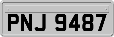 PNJ9487