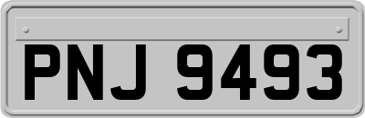 PNJ9493