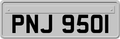 PNJ9501