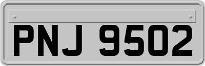 PNJ9502
