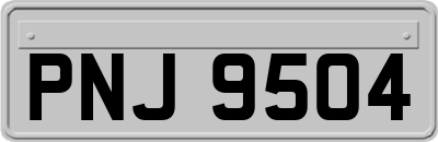 PNJ9504