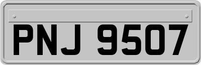 PNJ9507