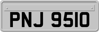 PNJ9510