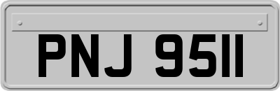 PNJ9511