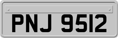 PNJ9512