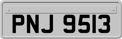 PNJ9513