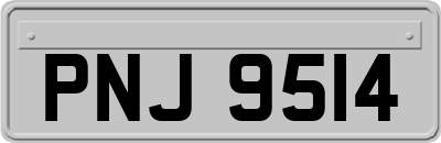 PNJ9514