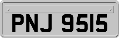 PNJ9515