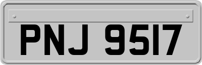 PNJ9517