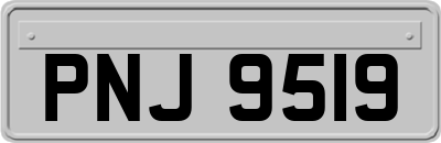 PNJ9519