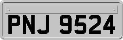 PNJ9524