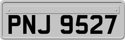 PNJ9527