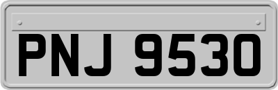 PNJ9530