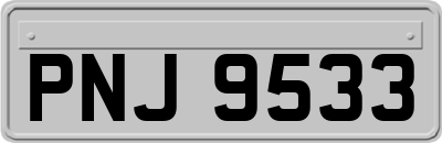 PNJ9533