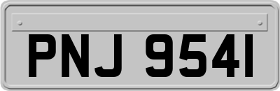 PNJ9541