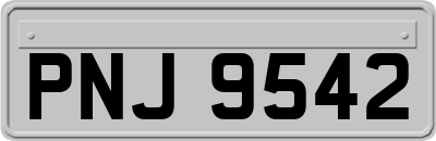 PNJ9542