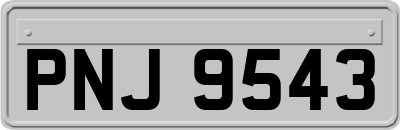 PNJ9543
