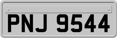 PNJ9544