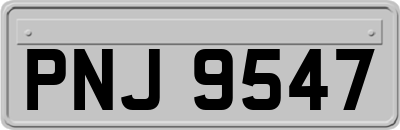 PNJ9547